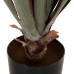 ΔΙΑΚΟΣΜΗΤΙΚΟ ΣΥΝΘΕΤΙΚΟ ΦΥΤΟ HM7985 SISAL AGAVE ΣΕ ΓΛΑΣΤΡΑ  Φ13,5x13-76Υεκ. - Image 4