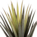 ΔΙΑΚΟΣΜΗΤΙΚΟ ΣΥΝΘΕΤΙΚΟ ΦΥΤΟ HM7986 SISAL AGAVE ΣΕ ΓΛΑΣΤΡΑ Φ15,5x14,5-96Υεκ. - Image 3