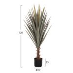 ΔΙΑΚΟΣΜΗΤΙΚΟ ΣΥΝΘΕΤΙΚΟ ΦΥΤΟ HM7987 SISAL AGAVE ΣΕ ΓΛΑΣΤΡΑ 120Υεκ. - Image 2