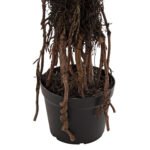 ΔΙΑΚΟΣΜΗΤΙΚΟ ΣΥΝΘΕΤΙΚΟ ΦΥΤΟ HM7989 ΔΕΝΤΡΟ SISAL ΣΕ ΓΛΑΣΤΡΑ 200Υεκ. - Image 5