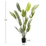 ΔΙΑΚΟΣΜΗΤΙΚΟ ΣΥΝΘΕΤΙΚΟ ΦΥΤΟ HM7997 CALATHEA ΣΕ ΓΛΑΣΤΡΑ 140Υεκ. - Image 2
