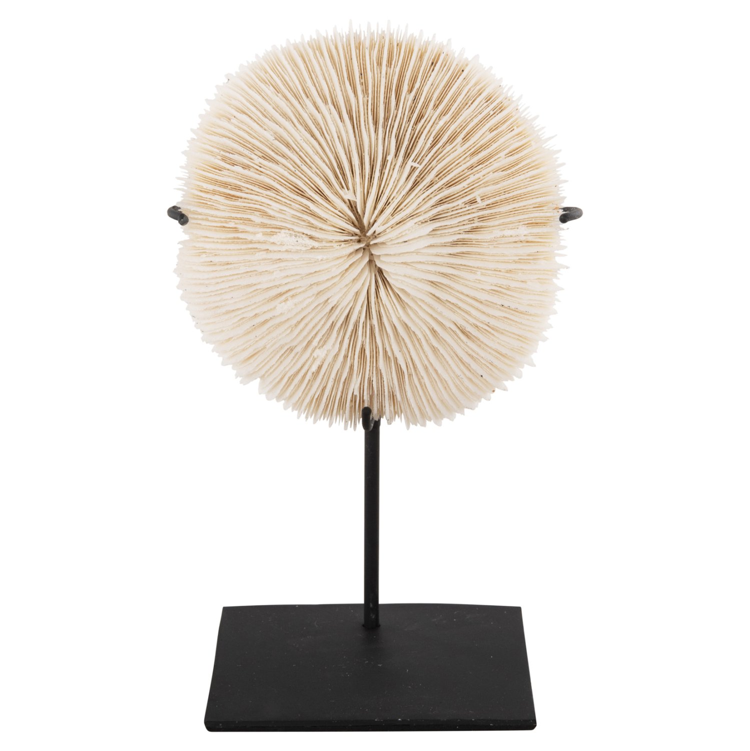 epitrapezio-diakosmitiko-fb94273-korali- ΕΠΙΤΡΑΠΕΖΙΟ ΔΙΑΚΟΣΜΗΤΙΚΟ HM4273 ΚΟΡΑΛΙ ΣΕ ΦΥΣΙΚΟ-ΜΑΥΡΗ ΜΕΤΑΛΛΙΚΗ ΒΑΣΗ 8x8x16Υ εκ. - Image 1