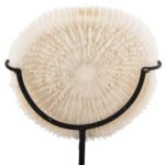 ΕΠΙΤΡΑΠΕΖΙΟ ΔΙΑΚΟΣΜΗΤΙΚΟ HM4273 ΚΟΡΑΛΙ ΣΕ ΦΥΣΙΚΟ-ΜΑΥΡΗ ΜΕΤΑΛΛΙΚΗ ΒΑΣΗ 8x8x16Υ εκ. - Image 4