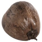 ΕΠΙΤΡΑΠΕΖΙΟ ΔΙΑΚΟΣΜΗΤΙΚΟ HM4326.01 ΚΑΡΥΔΑ ΣΕ ΦΥΣΙΚΟ ΧΡΩΜΑ 20x20x20Υεκ - Image 3