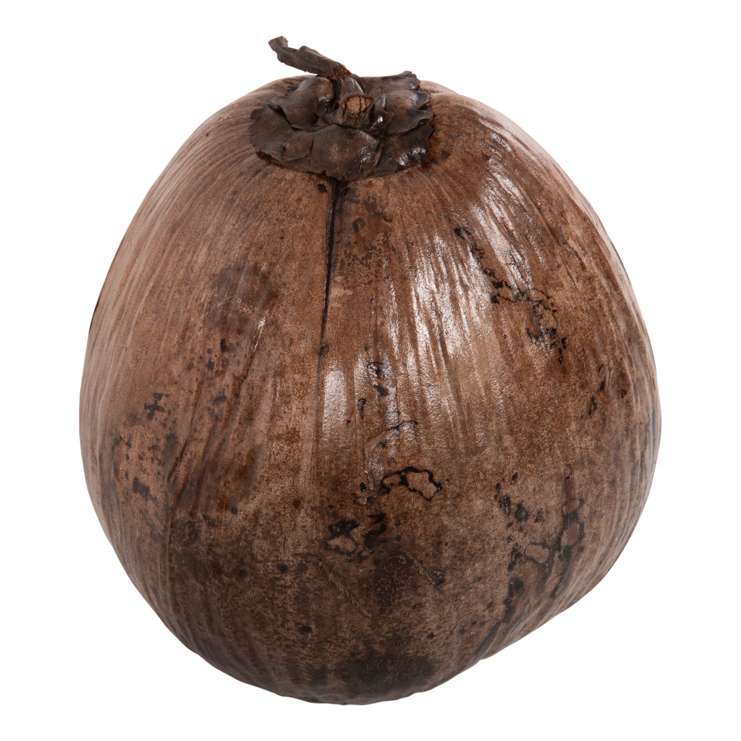 epitrapezio-diakosmitiko-fb9432601-karyd ΕΠΙΤΡΑΠΕΖΙΟ ΔΙΑΚΟΣΜΗΤΙΚΟ HM4326.01 ΚΑΡΥΔΑ ΣΕ ΦΥΣΙΚΟ ΧΡΩΜΑ 20x20x20Υεκ - Image 1