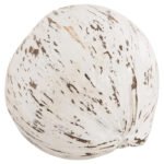 ΕΠΙΤΡΑΠΕΖΙΟ ΔΙΑΚΟΣΜΗΤΙΚΟ HM4326.05 ΚΑΡΥΔΑ ΣΕ ΛΕΥΚΟ ΧΡΩΜΑ 20x20x20Υεκ - Image 3