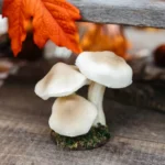 Beauty Home 3 μανιτάρια σε βάση με βρύα Ø7 x 14 cm - Image 2