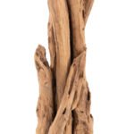 ΚΑΛΟΓΕΡΟΣ HM9367 ΑΠΟ ΜΑΣΙΦ ΞΥΛΟ TEAK ΦΥΣΙΚΟ 36x30x183Υεκ. - Image 4