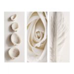 ΠΙΝΑΚΑΣ ΤΡΙΠΤΥΧΟ MDF NATURAL ELEMENTS HM7204.05 60X0,3X50 εκ.