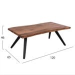 ΤΡΑΠΕΖΙ ΣΑΛΟΝΙΟΥ JOSINA ΜΑΣΙΦ ΞΥΛΟ ΑΚΑΚΙΑΣ 120x65x46Yεκ. HM8365.11 - Image 2