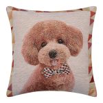 ΜΑΞΙΛΑΡΟΘΗΚΗ (45cm x 45cm) βέλγικο 5 SilkFashion