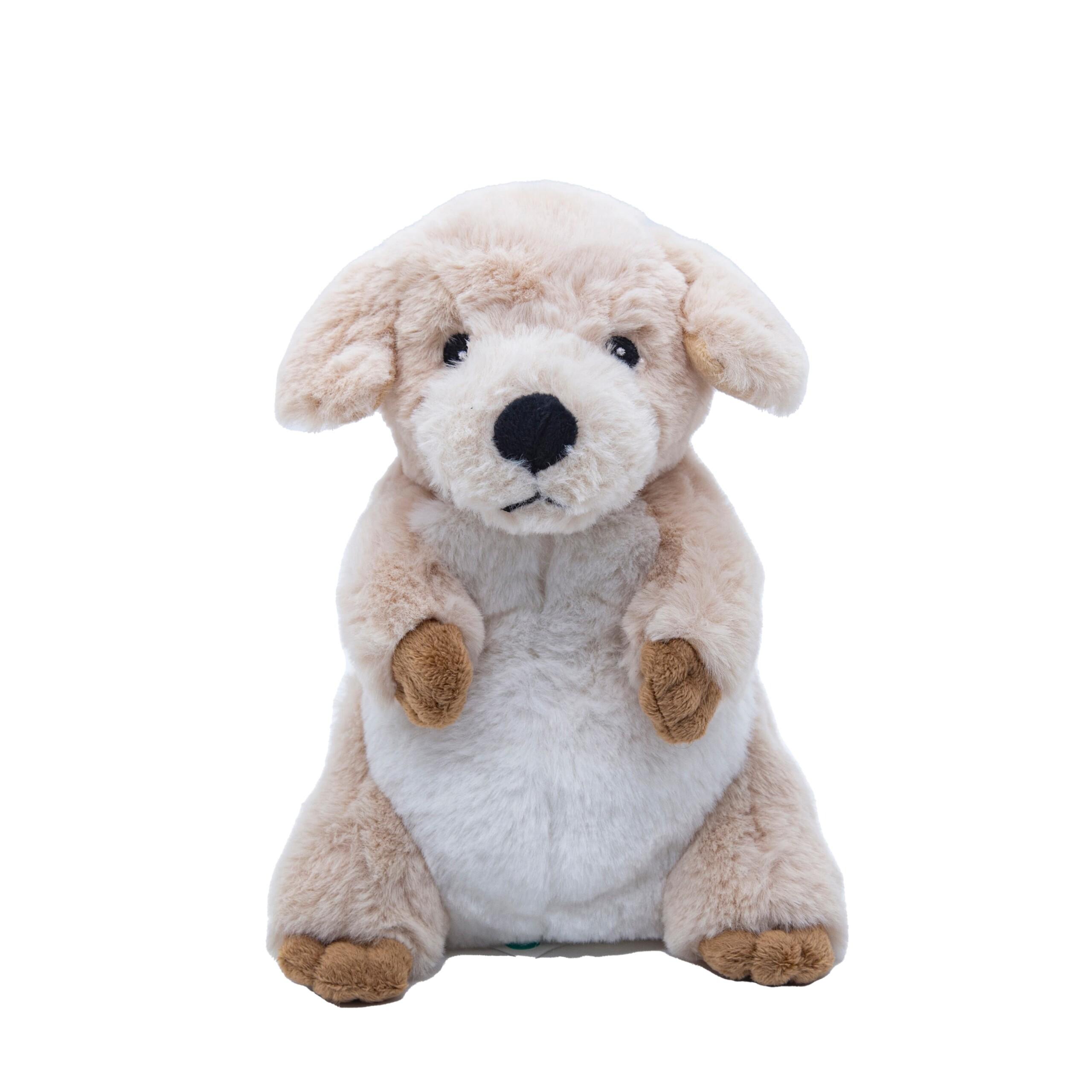 65-5570 Λούτρινο Μικρό Σκυλάκι 21cm OEKOTEX - CUTE - Image 1