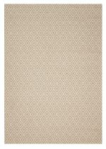 ΧΑΛΙ  CANVAS  1066D - 200X290  NewPlan