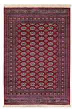 ΧΑΛΙ SONIA 248/301220 - 200X300  NewPlan
