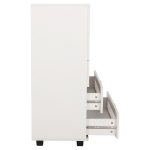 ΣΥΡΤΑΡΙΕΡΑ ΜΕΛΑΜΙΝΗΣ THORGAN HM9881.03 5 ΣΥΡΤΑΡΙΑ-ΛΕΥΚΟ ΧΡΩΜΑ 80Χ40Χ100Υεκ - Image 5