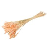 Beauty Home ΓΑΤΑΚΙΑ LAGURUS ΡΟΖ 75CM 50ΤΜΧ - Image 3