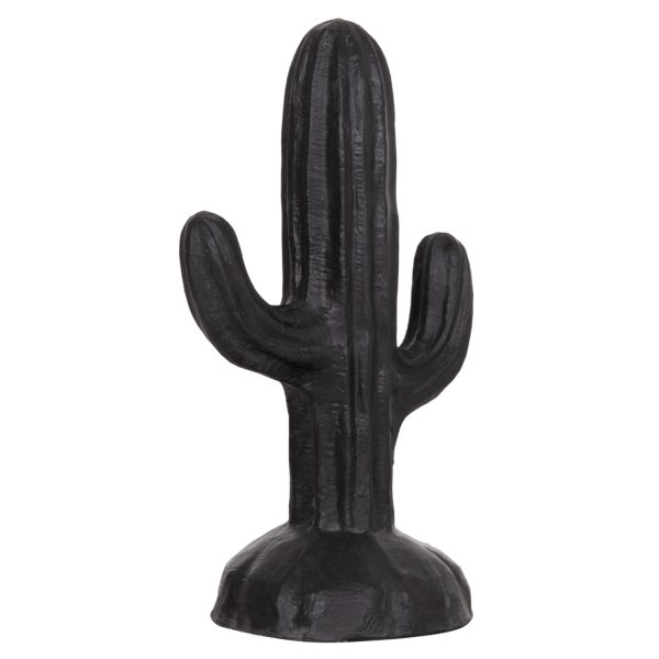 ΔΙΑΚΟΣΜΗΤΙΚΟΣ ΚΑΚΤΟΣ ΔΑΠΕΔΟΥ CACTUS HM4386.01S ΓΥΨΟΣ ΣΕ ΜΑΥΡΟ 42x30x74Υεκ.