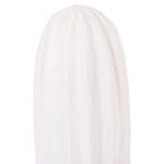 ΔΙΑΚΟΣΜΗΤΙΚΟΣ ΚΑΚΤΟΣ ΔΑΠΕΔΟΥ CACTUS HM4386.02S ΓΥΨΟΣ ΣΕ ΛΕΥΚΟ 42x30x74Υεκ - Image 5